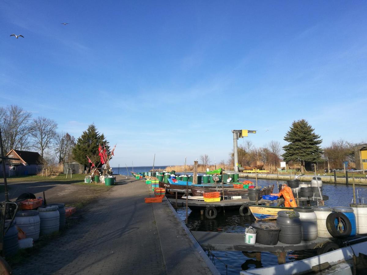 Fewo "Hafenblick" Ueckermunde Bagian luar foto