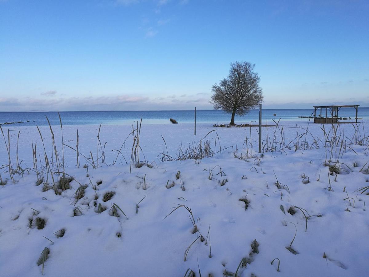 Fewo "Hafenblick" Ueckermunde Bagian luar foto