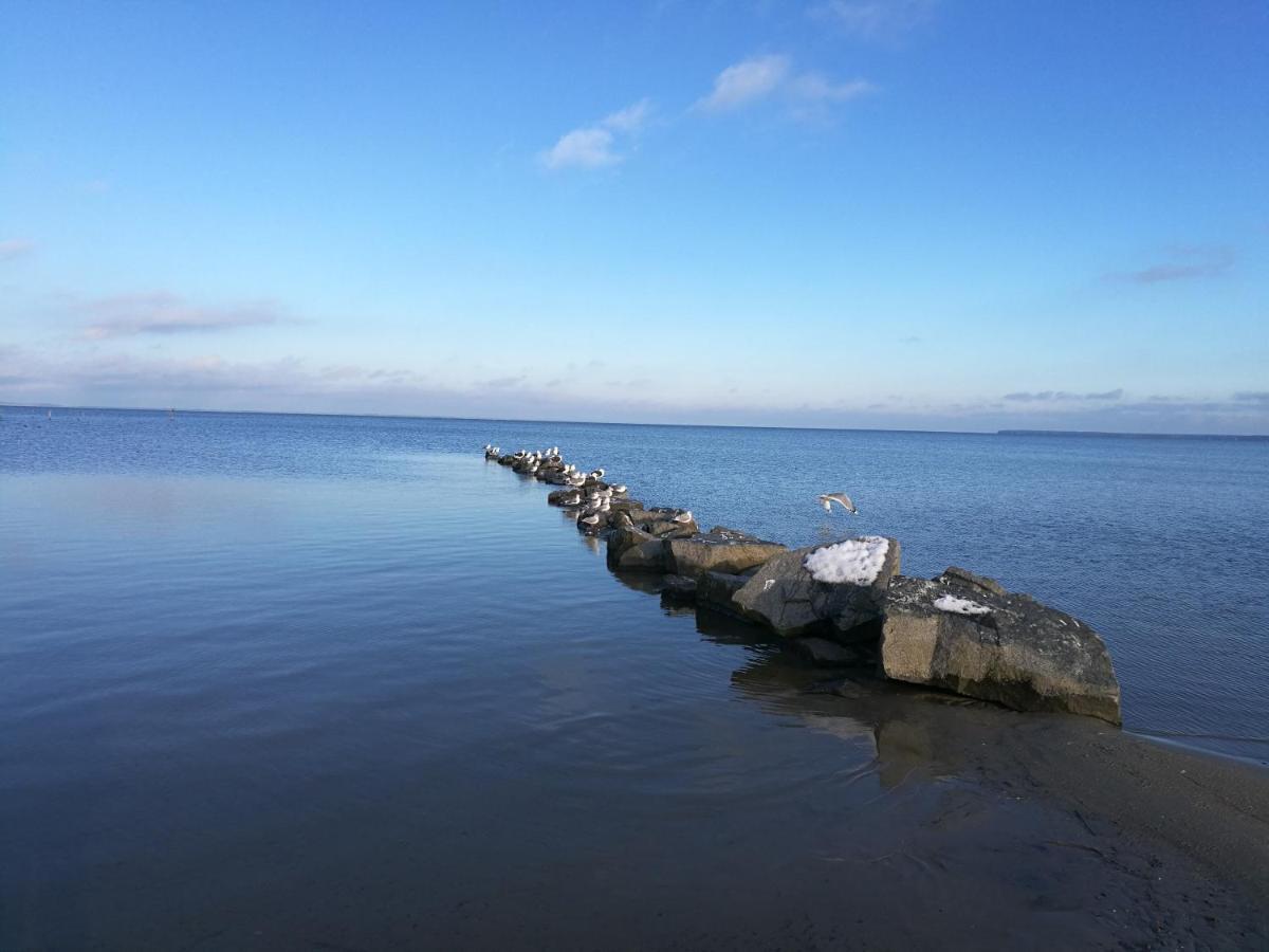 Fewo "Hafenblick" Ueckermunde Bagian luar foto
